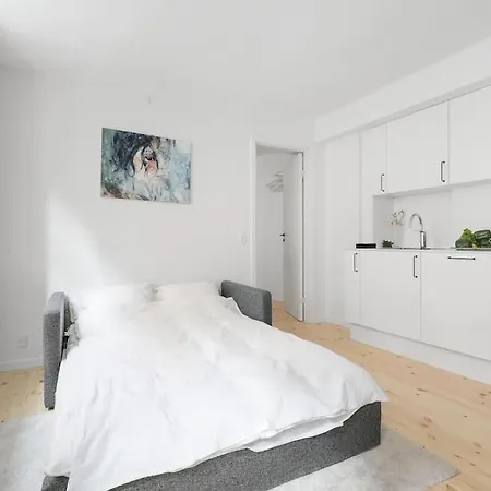 Charmerende Ved Nyhavn 1 Sal Apartment Copenhagen